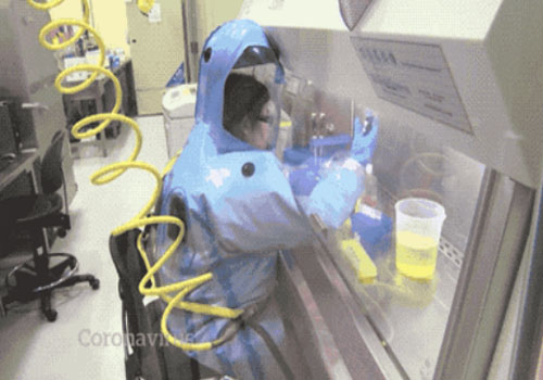 BSL-4生物安全實驗室.jpg