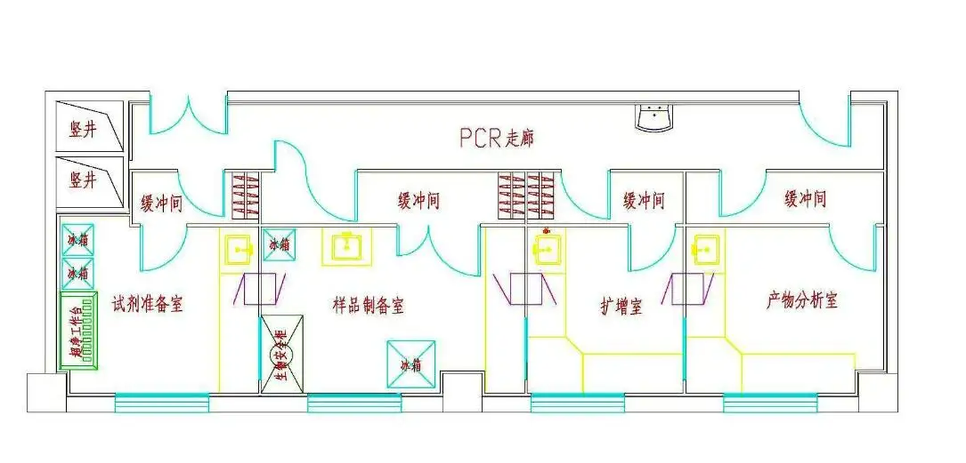 pcr實驗室功能區(qū)布局