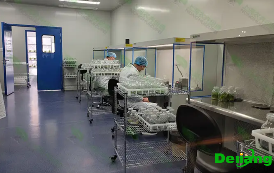 植物培養實驗室設計要求