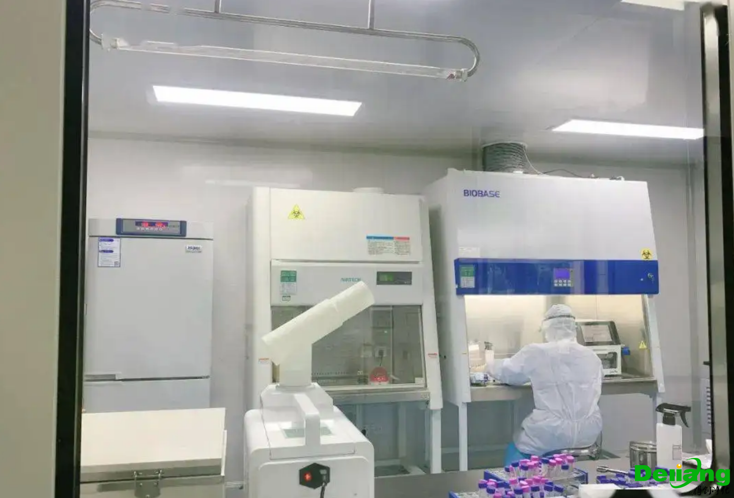 微生物實驗室