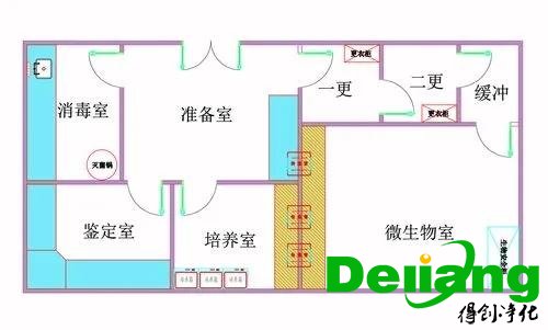 P2生物實(shí)驗(yàn)室設(shè)計(jì)圖