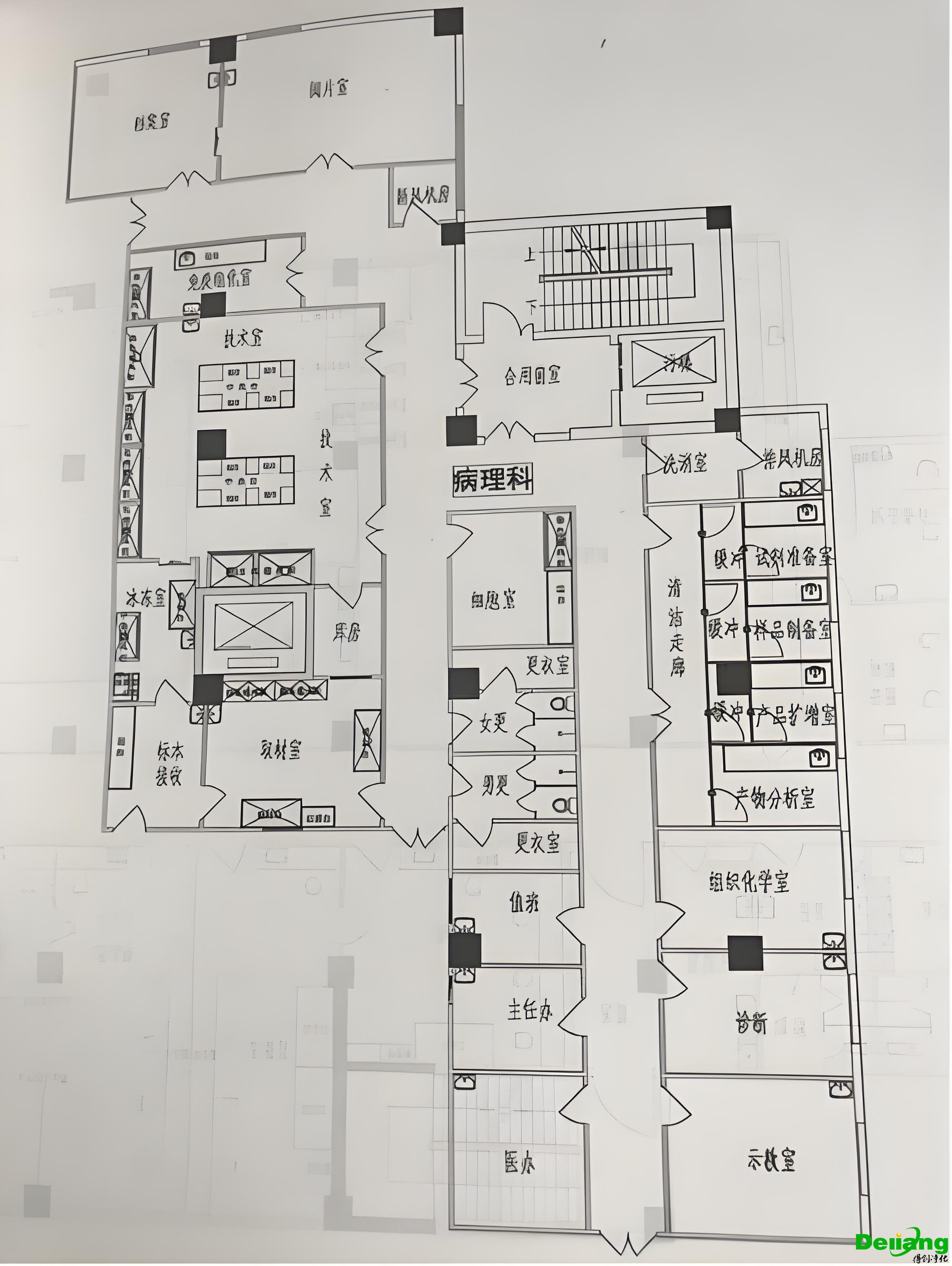 病例實驗室功能區布局圖